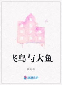 飞鸟与大鱼章节列表