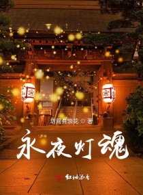 永夜灯魂章节列表