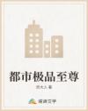 都市极品至尊章节列表