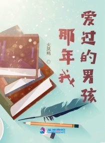 那些年我爱过一个男孩章节列表