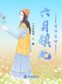 六月镇北花开正好章节列表