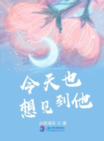 今天也想见到他章节列表