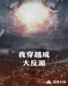 我穿越成大反派章节列表