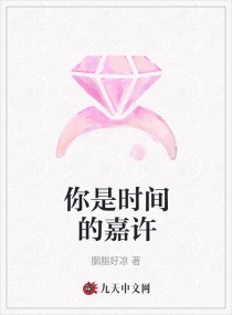 你是时间的嘉许章节列表