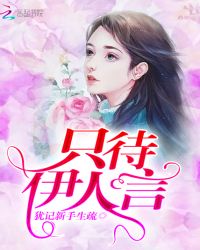 只待伊人言章节列表