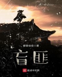 盲匪章节列表