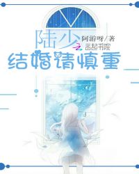 陆少结婚请慎重章节列表