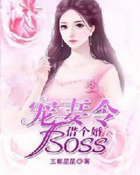 宠妻令：boss，借个婚！章节列表