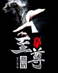 豪门至尊赘婿章节列表
