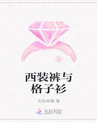 西装裤与格子衫章节列表