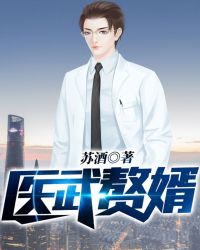 医武赘婿章节列表