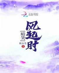 暗笑风起时章节列表