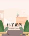伟子正传章节列表