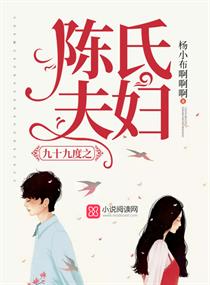 九十九度之陈氏夫妇章节列表