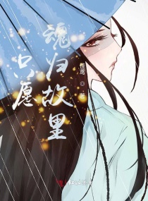 只愿魂归故里章节列表