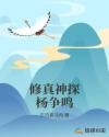 修真神探杨争鸣章节列表