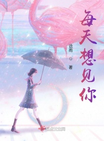 每天想见你章节列表