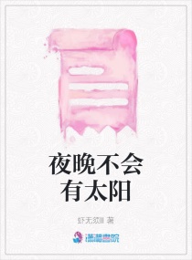 夜晚不会有太阳章节列表