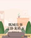 瓢城往事之卧龙桥下章节列表