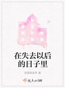 在失去以后的日子里章节列表