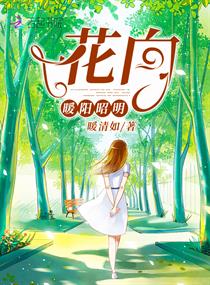 花向暖阳昭明章节列表