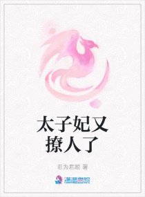 太子妃又撩人了章节列表