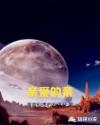 亲爱的菜章节列表