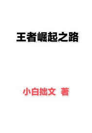 王者崛起之路章节列表