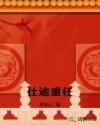 仕途重任章节列表