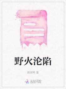 野火沦陷章节列表