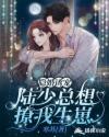 隐婚诱宠：陆少总想撩我生崽章节列表
