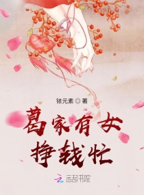 葛家有女挣钱忙章节列表