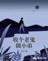 收个老鬼做小弟章节列表