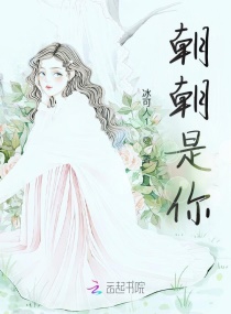 朝朝是你章节列表