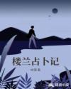 楼兰占卜记章节列表