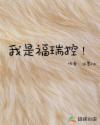 我是福瑞控章节列表