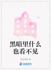 黑暗里什么也看不见章节列表