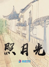 月亮不知所踪章节列表