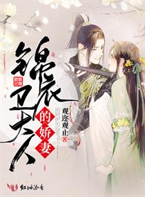 锦衣卫大人的娇妻章节列表