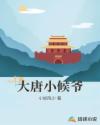 大唐小候爷章节列表