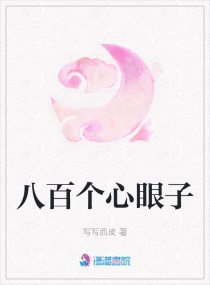 八百个心眼子章节列表