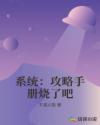 系统：攻略手册烧了吧章节列表