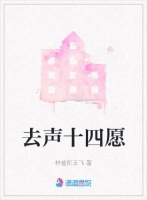 去声十四愿章节列表