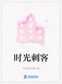 时光刺客章节列表