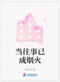 当往事已成烟火章节列表