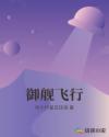 御舰飞行章节列表