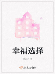 幸福选择章节列表