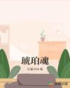 琥珀魂章节列表