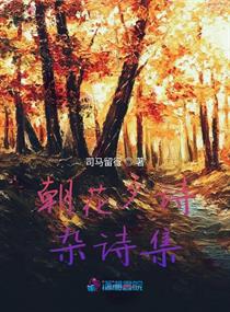 朝花夕诗杂诗集章节列表