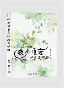 治愈系暖婚章节列表